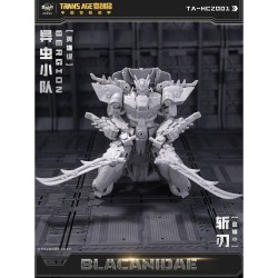 Cang-Toys TA-HCZ001 Blacanidae