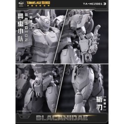 Cang-Toys TA-HCZ001 Blacanidae